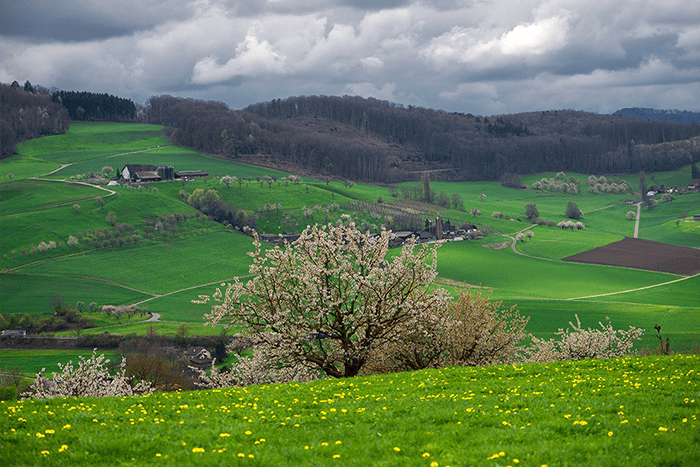 TVA sur marge des cessions de terrains à bâtir